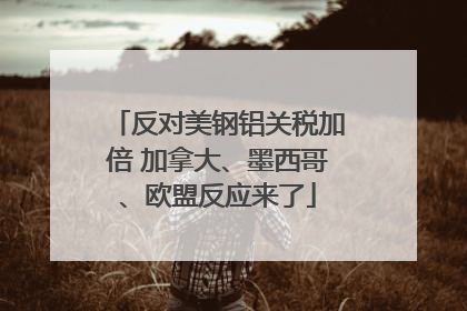 反对美钢铝关税加倍 加拿大、墨西哥、欧盟反应来了