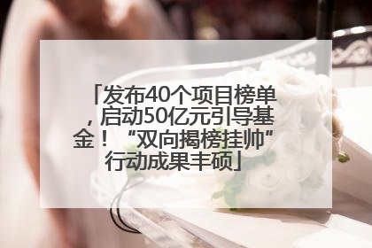 发布40个项目榜单，启动50亿元引导基金！“双向揭榜挂帅”行动成果丰硕