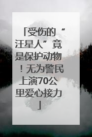 受伤的“汪星人”竟是保护动物！无为警民上演70公里爱心接力
