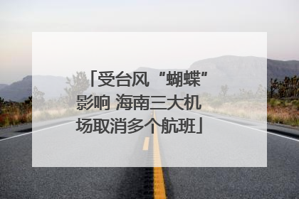 受台风“蝴蝶”影响 海南三大机场取消多个航班
