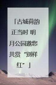 古城荷韵正当时 明月公园邀您共赏“别样红”