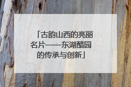 古韵山西的亮丽名片——东湖醋园的传承与创新