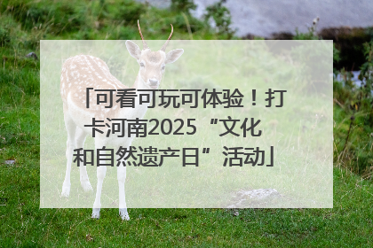 可看可玩可体验！打卡河南2025“文化和自然遗产日”活动