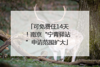 可免费住14天！南京“宁青驿站”申请范围扩大