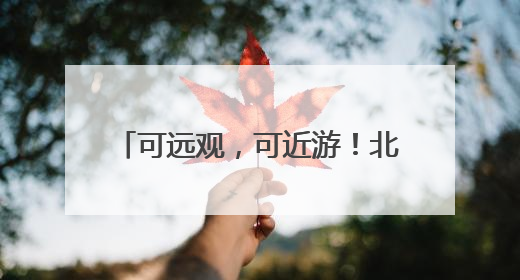 可远观，可近游！北京这处“水岸花园”新建62公里花墙