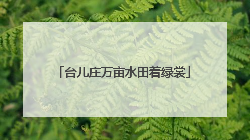 台儿庄万亩水田着绿裳