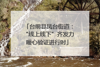 台前县凤台街道：“线上线下”齐发力 暖心验证进行时