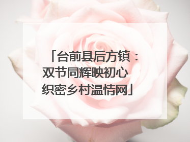 台前县后方镇：双节同辉映初心 织密乡村温情网