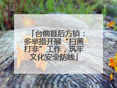 台前县后方镇：多举措开展“扫黄打非”工作，筑牢文化安全防线