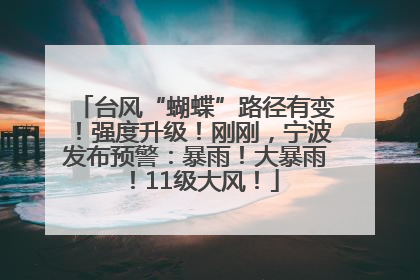 台风“蝴蝶”路径有变！强度升级！刚刚，宁波发布预警：暴雨！大暴雨！11级大风！