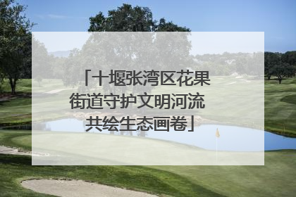 十堰张湾区花果街道守护文明河流 共绘生态画卷