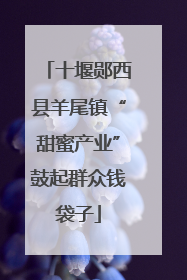 十堰郧西县羊尾镇“甜蜜产业”鼓起群众钱袋子