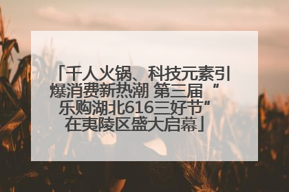 千人火锅、科技元素引爆消费新热潮 第三届“乐购湖北616三好节”在夷陵区盛大启幕