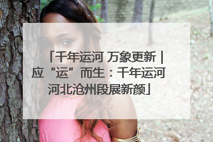 千年运河 万象更新｜应“运”而生：千年运河河北沧州段展新颜