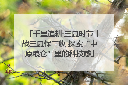 千里追耕·三夏时节丨战三夏保丰收 探索“中原粮仓”里的科技感