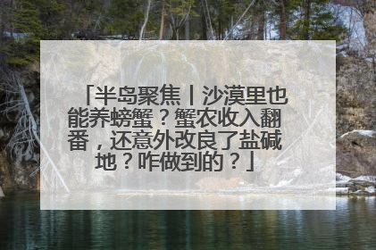 半岛聚焦丨沙漠里也能养螃蟹？蟹农收入翻番，还意外改良了盐碱地？咋做到的？