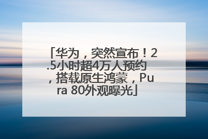 华为，突然宣布！2.5小时超4万人预约，搭载原生鸿蒙，Pura 80外观曝光