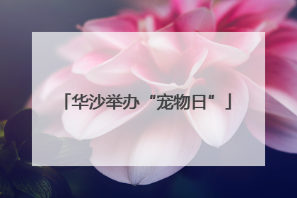 华沙举办“宠物日”