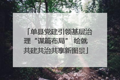 单县党建引领基层治理“谋篇布局” 绘就共建共治共享新图景