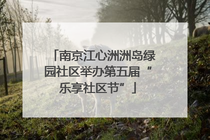 南京江心洲洲岛绿园社区举办第五届“乐享社区节”