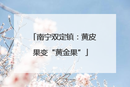 南宁双定镇：黄皮果变“黄金果”