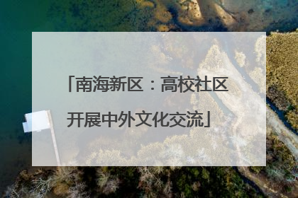 南海新区：高校社区开展中外文化交流