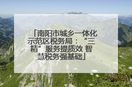 南阳市城乡一体化示范区税务局：“三精”服务提质效 智慧税务强基础