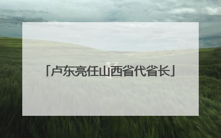 卢东亮任山西省代省长