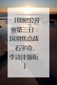印尼公开赛第三日：国羽焦点战 石宇奇、李诗沣领衔