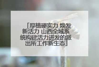 厚植硬实力 焕发新活力 山西全域系统构建活力迸发的派出所工作新生态