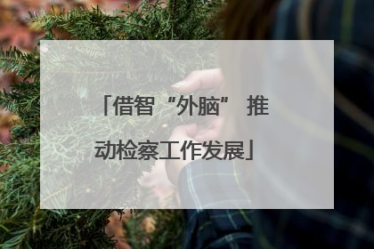 借智“外脑” 推动检察工作发展