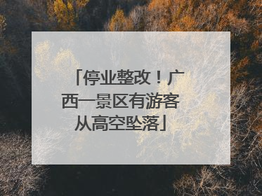停业整改！广西一景区有游客从高空坠落