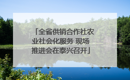全省供销合作社农业社会化服务 现场推进会在泰兴召开