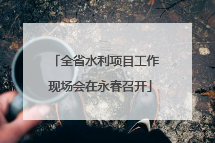 全省水利项目工作现场会在永春召开