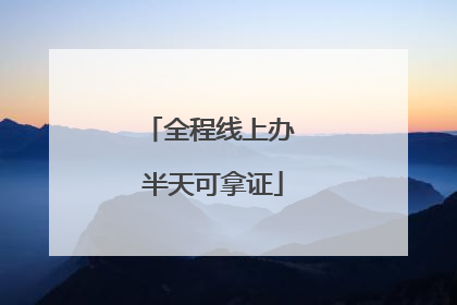 全程线上办 半天可拿证