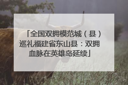 全国双拥模范城（县）巡礼福建省东山县：双拥血脉在英雄岛延续