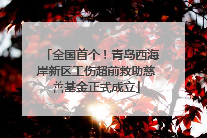 全国首个！青岛西海岸新区工伤超前救助慈善基金正式成立