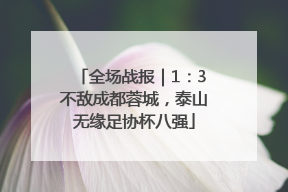 全场战报｜1：3不敌成都蓉城，泰山无缘足协杯八强