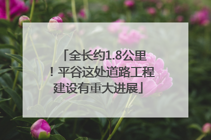 全长约1.8公里！平谷这处道路工程建设有重大进展