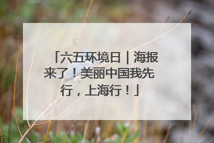 六五环境日｜海报来了！美丽中国我先行，上海行！