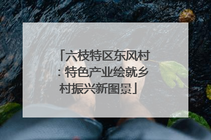 六枝特区东风村：特色产业绘就乡村振兴新图景
