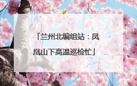 兰州北编组站：凤凰山下高温巡检忙