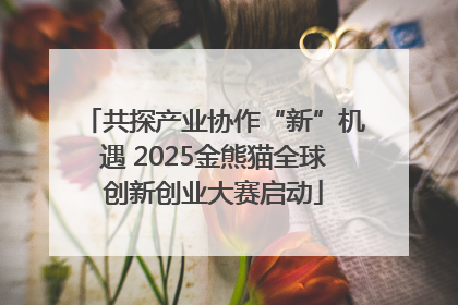 共探产业协作“新”机遇 2025金熊猫全球创新创业大赛启动