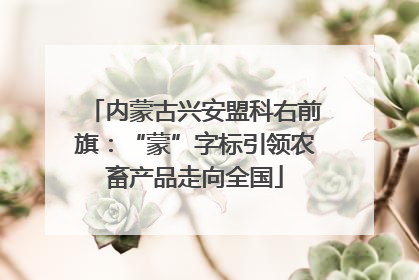 内蒙古兴安盟科右前旗：“蒙”字标引领农畜产品走向全国