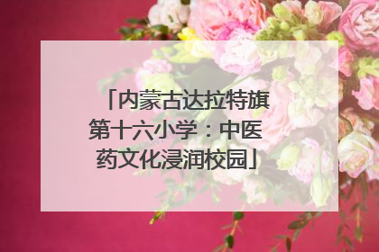 内蒙古达拉特旗第十六小学：中医药文化浸润校园