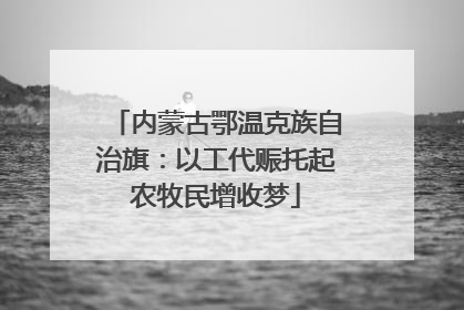 内蒙古鄂温克族自治旗：以工代赈托起农牧民增收梦