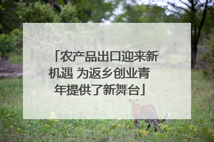 农产品出口迎来新机遇 为返乡创业青年提供了新舞台