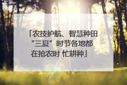 农技护航、智慧种田 “三夏”时节各地都在抢农时 忙耕种