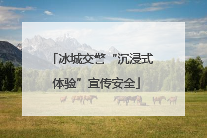 冰城交警“沉浸式体验”宣传安全