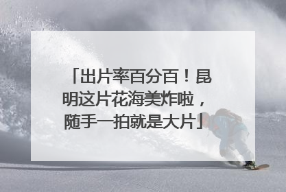 出片率百分百！昆明这片花海美炸啦，随手一拍就是大片